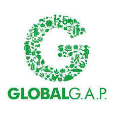 Logo Certification Globalgap