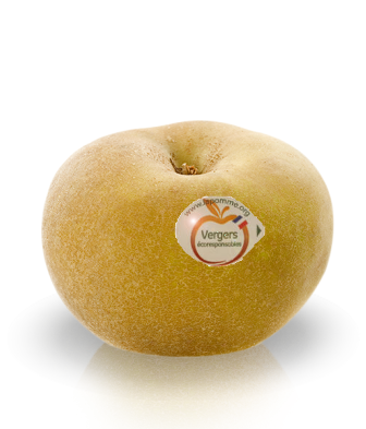 Pomme Canada Gris Legery